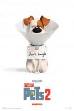 Watch The Secret Life of Pets 2 123moviesFree