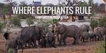 Watch Where Elephants Rule 123moviesFree