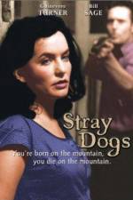 Watch Stray Dogs 123moviesFree