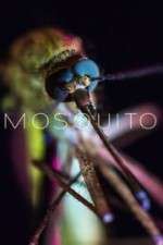 Watch Mosquito 123moviesFree