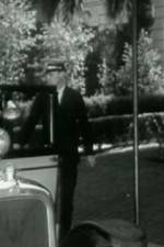 Watch Night Life in Reno 123moviesFree