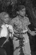 Watch Star Reporter 123moviesFree