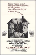 Watch A Delicate Balance 123moviesFree