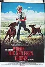 Watch Where the Red Fern Grows 123moviesFree