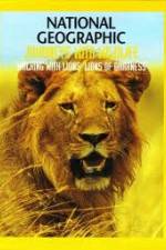 Watch National Geographic:  Walking with Lions 123moviesFree