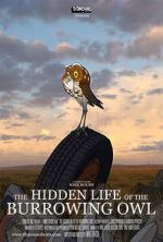 Watch The Hidden Life of the Burrowing Owl (Short 2008) 123moviesFree