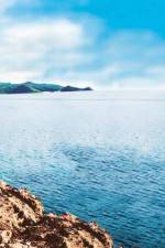 Watch Intent 123moviesFree