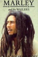 Watch Caribbean Nights 123moviesFree