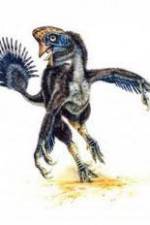 Watch National Geographic Wild : Evolutions Last Living Dinosaur 123moviesFree