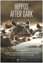 Watch Hippos After Dark 123moviesFree