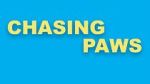 Watch Chasing Paws (Short 2020) 123moviesFree