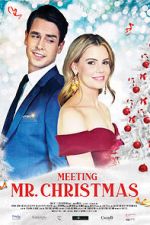 Watch Meeting Mr. Christmas 123moviesFree