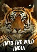 Watch Into the Wild India 123moviesFree