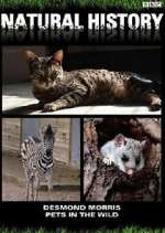 Watch Pets in the Wild 123moviesFree