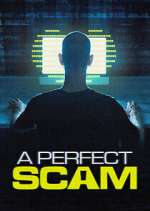 Watch A Perfect Scam 123moviesFree
