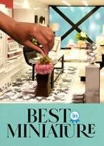 Watch Best in Miniature 123moviesFree