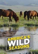 Watch America's Wild Seasons 123moviesFree