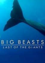 Watch Big Beasts: Last of the Giants 123moviesFree