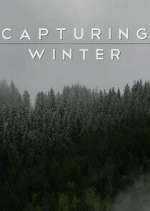 Watch Capturing Winter 123moviesFree