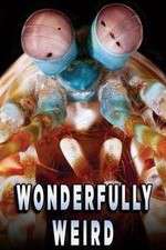 Watch Wonderfully Weird 123moviesFree