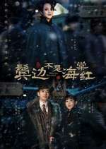 Watch Winter Begonia 123moviesFree