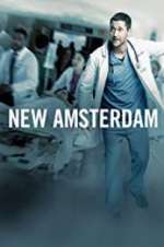 Watch New Amsterdam 123moviesFree