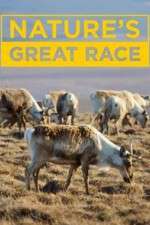 Watch Nature's Great Race 123moviesFree