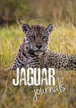 Watch Jaguar Journals 123moviesFree