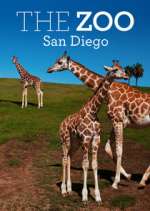 Watch The Zoo: San Diego 123moviesFree