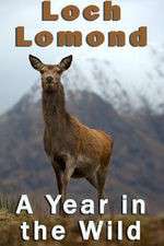 Watch Loch Lomond: A Year in the Wild 123moviesFree