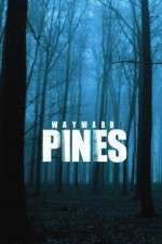 Watch Wayward Pines 123moviesFree
