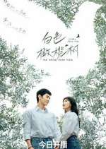 Watch The White Olive Tree 123moviesFree