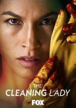 Watch The Cleaning Lady 123moviesFree