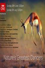 Watch Nature's Greatest Dancers 123moviesFree