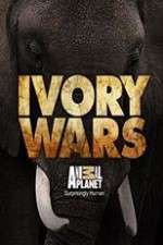 Watch Ivory Wars 123moviesFree