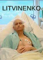 Watch Litvinenko 123moviesFree