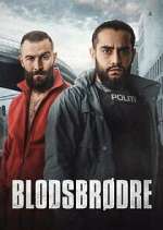 Watch BlodsbrÃ¸dre 123moviesFree