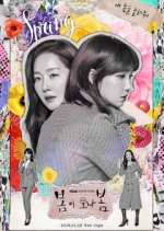 Watch Spring Turns to Spring 123moviesFree