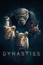 Watch Dynasties 123moviesFree