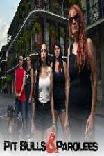 Watch Pit Bulls and Parolees 123moviesFree