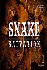 Watch Snake Salvation 123moviesFree