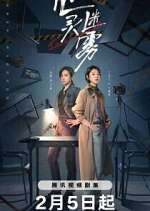 Watch Lies Never Lie 123moviesFree