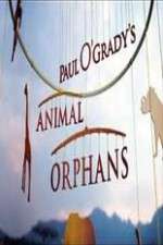 Watch Paul O'Grady's Animal Orphans 123moviesFree