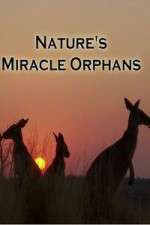 Watch Nature's Miracle Orphans 123moviesFree