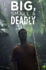 Watch Big, Small & Deadly 123moviesFree