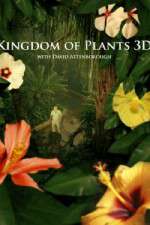 Watch Kingdom of Plants 3D 123moviesFree
