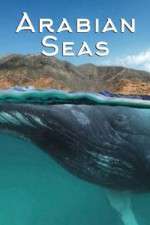 Watch Arabian Seas 123moviesFree