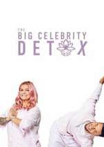 Watch The Big Celebrity Detox 123moviesFree